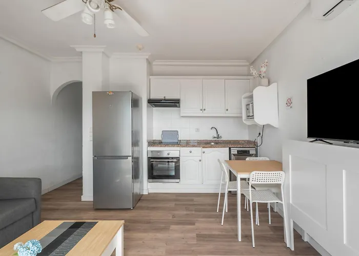 公寓 Oasis Del Sur 圣米格尔德阿沃纳