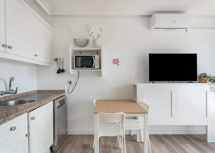 Oasis Del Sur 公寓 *